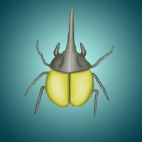 Beetle Wars screenshot, image №1289035 - RAWG