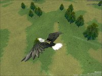 Mabinogi screenshot, image №493362 - RAWG