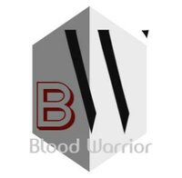 Blood Warrior screenshot, image №2630627 - RAWG