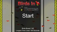 Birds In Boxes screenshot, image №3766155 - RAWG