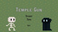 Temple Gun screenshot, image №2448968 - RAWG