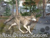 Ultimate Wolf Simulator 2 screenshot, image №2221617 - RAWG