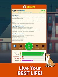 DogLife: BitLife Dogs screenshot, image №3100027 - RAWG