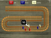 Cribbage Pegboard screenshot, image №2033362 - RAWG