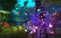 Guild Wars 2 screenshot, image №293863 - RAWG