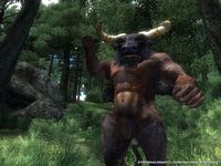The Elder Scrolls IV: Oblivion Game of the Year Edition screenshot, image №138546 - RAWG