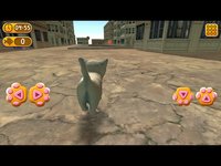 Cat In City Go Simulator screenshot, image №2035797 - RAWG