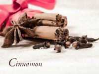 Cinnamon screenshot, image №1138414 - RAWG