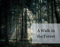 A Walk in the Forest screenshot, image №2229993 - RAWG