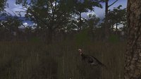 Wild Turkey Hunter VR screenshot, image №809262 - RAWG