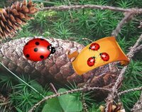Sunlight Forest Adventure screenshot, image №3326128 - RAWG