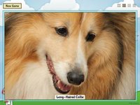 Animal Slide Image Puzzle screenshot, image №951618 - RAWG