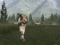 ArmA: Combat Operations screenshot, image №124606 - RAWG