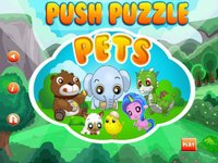 Push Puzzle Pets screenshot, image №1603884 - RAWG