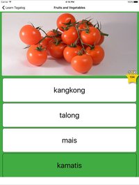 Learn Tagalog - Flashcards for Kids screenshot, image №962954 - RAWG