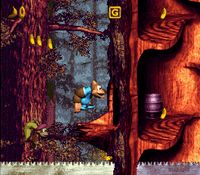 Donkey Kong Country 3: Dixie Kong's Double Trouble screenshot, image №822703 - RAWG