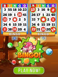 Bingo Heaven! screenshot, image №896332 - RAWG