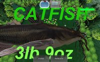 Fish or Die screenshot, image №113596 - RAWG