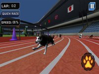 Extreme Crazy Dog Race 3D 2018 screenshot, image №1677902 - RAWG