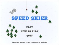 Speed Skier (LD #40) screenshot, image №1261427 - RAWG