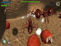 Ant Simulation 3D Full screenshot, image №2174244 - RAWG