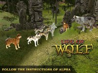 Life Of Wolf Simulator: Hunt Feed and Grow wolves screenshot, image №1780006 - RAWG