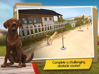 DogHotel: My Dog Boarding Kennel screenshot, image №870181 - RAWG