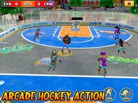 Arcade Hockey 21 screenshot, image №2605026 - RAWG