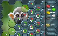 HexLogic - Zoo screenshot, image №1529540 - RAWG
