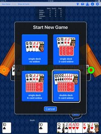 Cutthroat Pinochle Gold screenshot, image №1622747 - RAWG