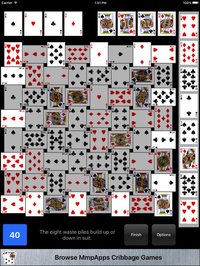 Crazy Quilt Solitaire Classic screenshot, image №2132053 - RAWG