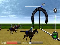 Ultimate Horse Racing:3d screenshot, image №973641 - RAWG