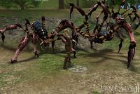 Lineage 2: The Chaotic Chronicle screenshot, image №359664 - RAWG