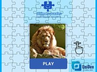 Ultimate Puzzles: Animals 2 screenshot, image №2695885 - RAWG