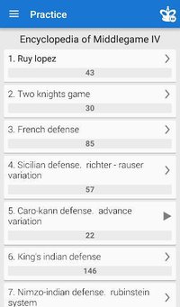 Chess Middlegame IV screenshot, image №1502930 - RAWG