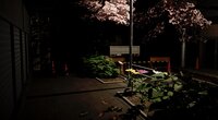 Midnight Prowl screenshot, image №3931620 - RAWG