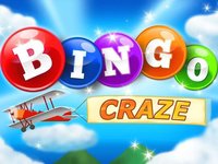 Bingo Craze! screenshot, image №1738160 - RAWG