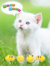 cute animal pictures & sounds screenshot, image №1580326 - RAWG