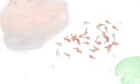Guppy (itch) screenshot, image №1003331 - RAWG
