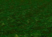 One Night At Creeper's screenshot, image №1696325 - RAWG