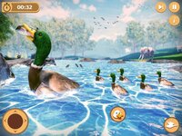 Virtual Duck Life Simulator screenshot, image №3610552 - RAWG