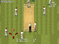 Cricket '96 screenshot, image №304647 - RAWG