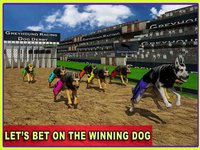 Race Dog Racer Simulator 2016 – Virtual Racing Championship with Real Police Dogs screenshot, image №1743298 - RAWG