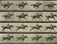 Run Muybridge, run! screenshot, image №1089415 - RAWG