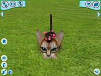 Catz 6 screenshot, image №468996 - RAWG