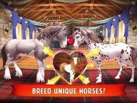 Horse Haven World Adventures screenshot, image №870832 - RAWG