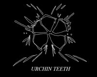 urchin teeth screenshot, image №1817246 - RAWG