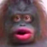 MONKE SPREE screenshot, image №3601903 - RAWG
