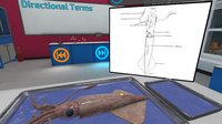 VR Squid and Seastar Dissection: Invertebrate Investigations screenshot, image №2383784 - RAWG