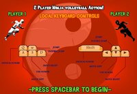 Ninja Volleyball HD screenshot, image №1316279 - RAWG